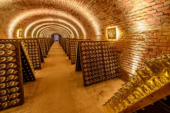 Kellergewölbe mit Sektflaschen auf Flaschenracks